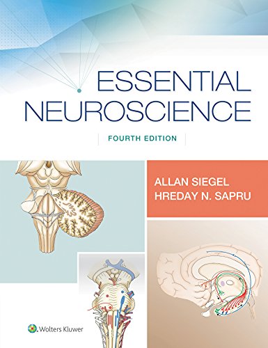 Essential Neuroscience von LWW